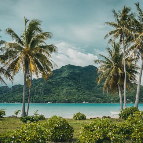 Tout ce qu’il faut savoir sur l’île d’Aruba