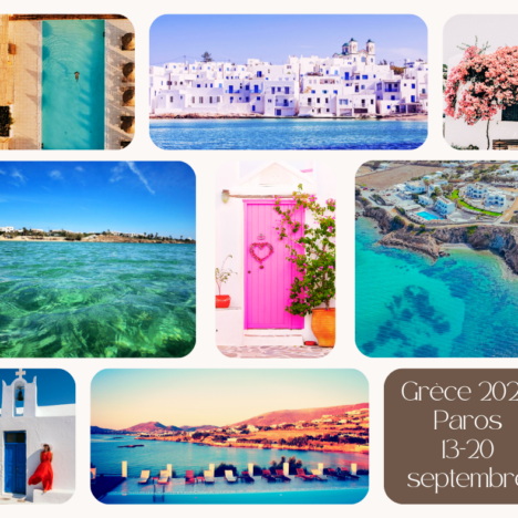 Séjour Bien-Être Animal à Santorin : Aide aux Chiens de Refuge et Reconnexion à Soi